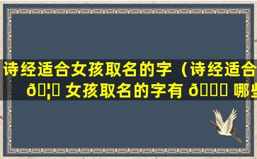 诗经适合女孩取名的字（诗经适合 🦆 女孩取名的字有 🐕 哪些）